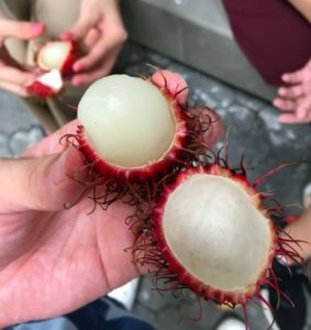 フィリピンのフルーツ全33種類 驚きの食べ方と伝説の果物とは 留学 英語学習blog