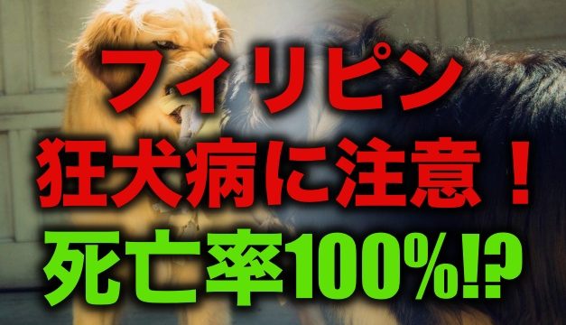 フィリピン人に聞いた 好きな日本食ランキング1 5位 留学 英語学習blog