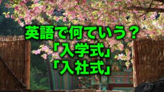 アイテムをオンラインでご ことわざ 格言 名言集 英語のことわざ 入学入社のための fe 最安 Cfscr Com